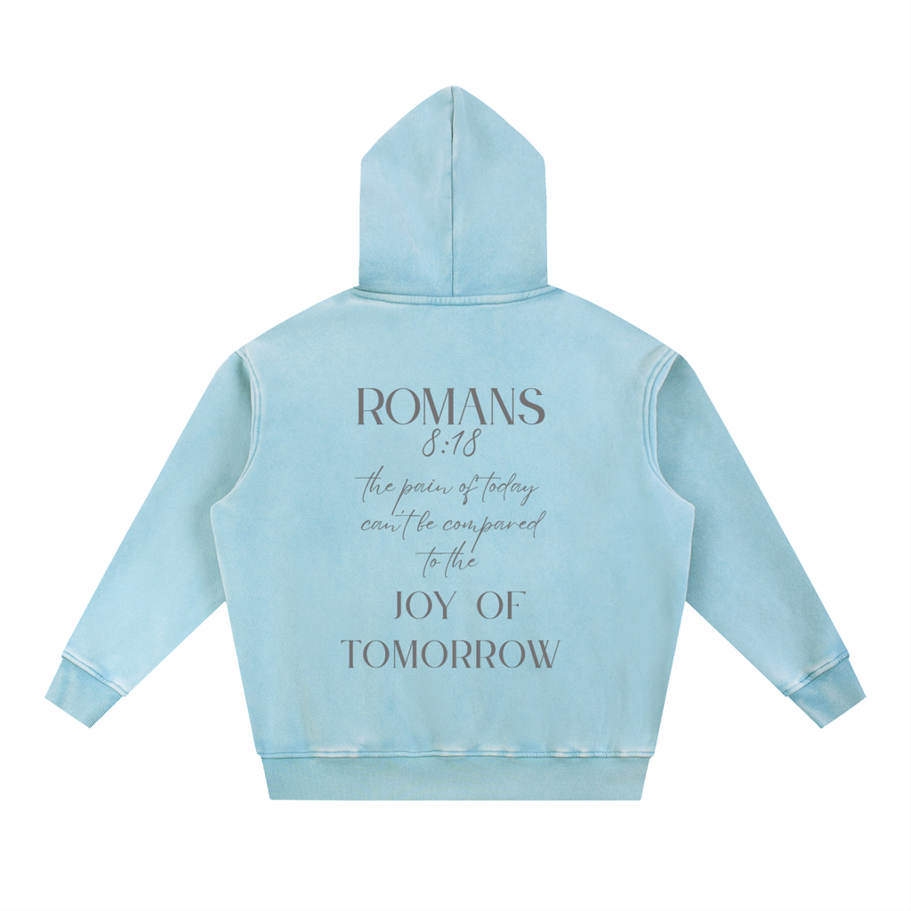 Romans 8:18 Hoodie