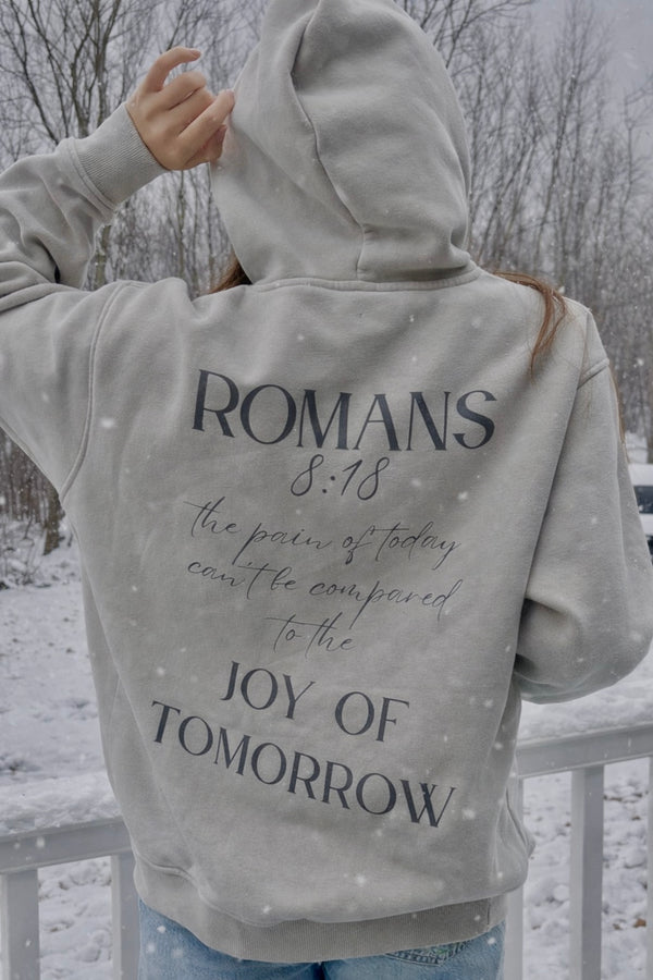 Romans 8:18 Hoodie