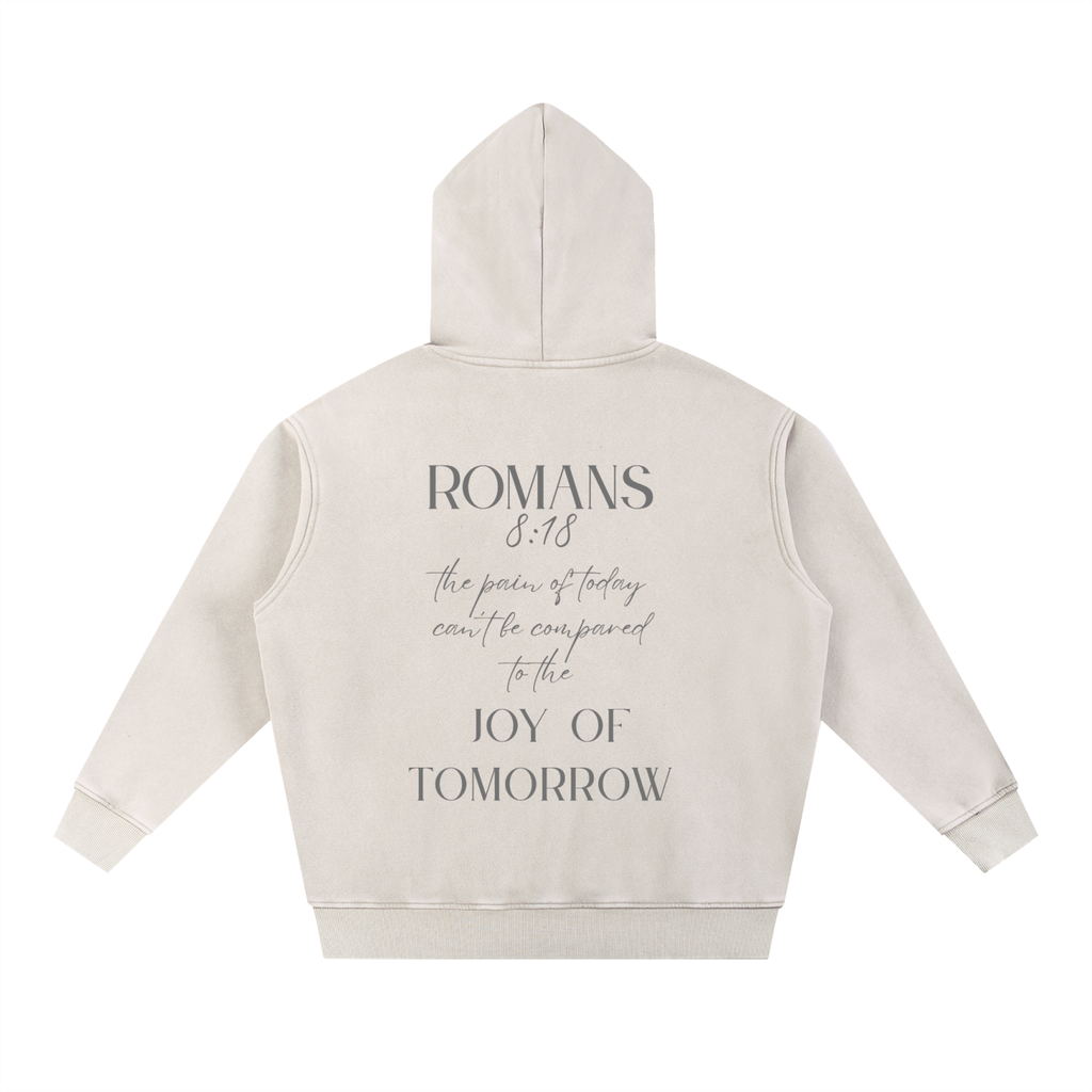 Romans 8:18 Hoodie